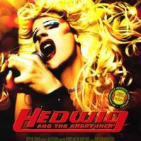 7 Life Changing Lessons From Hedwig and the Angry Inch